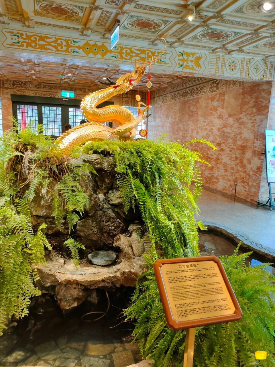 百年金龍