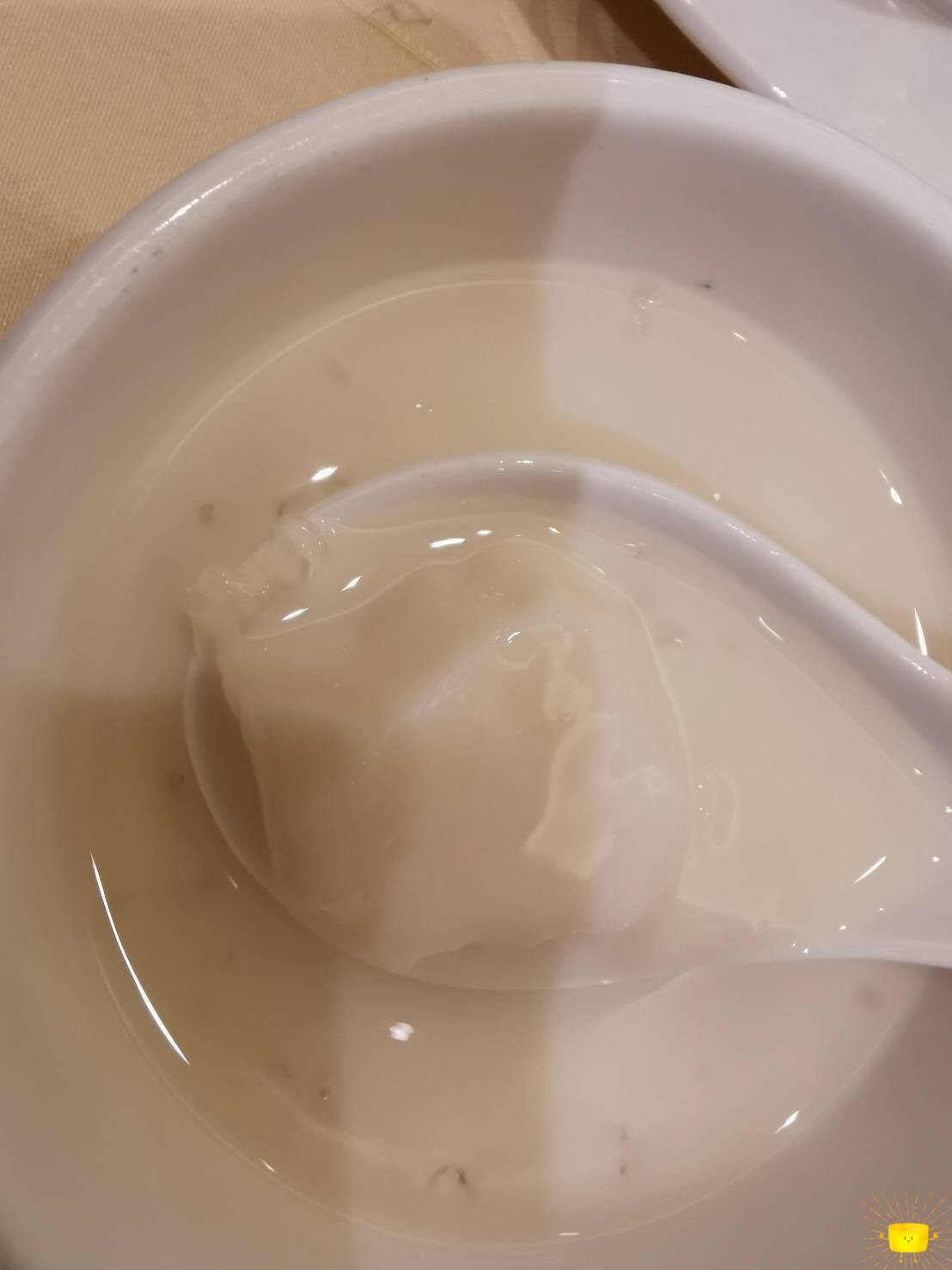 有機豆漿燉雪燕