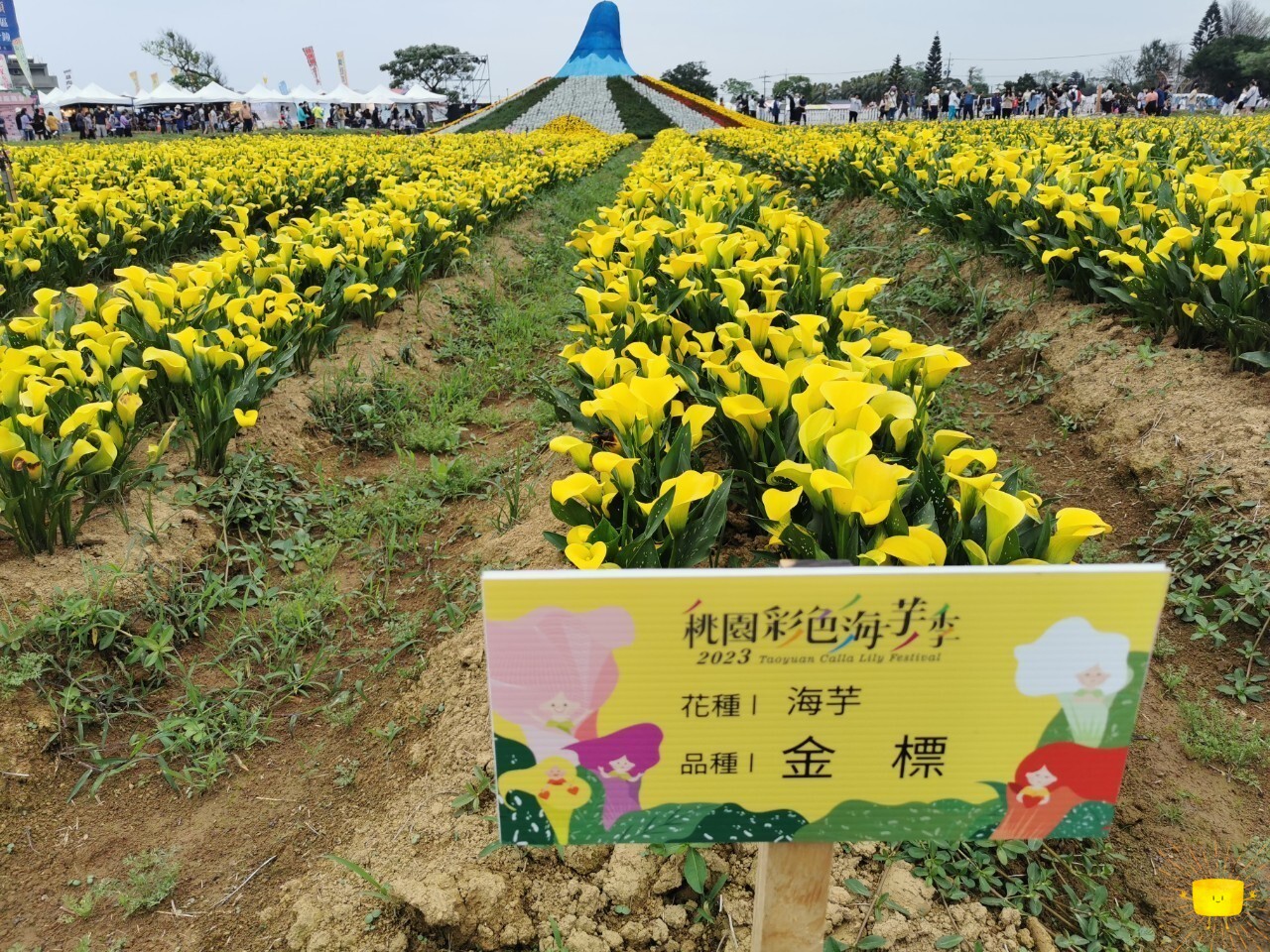 品種的名字都很特別